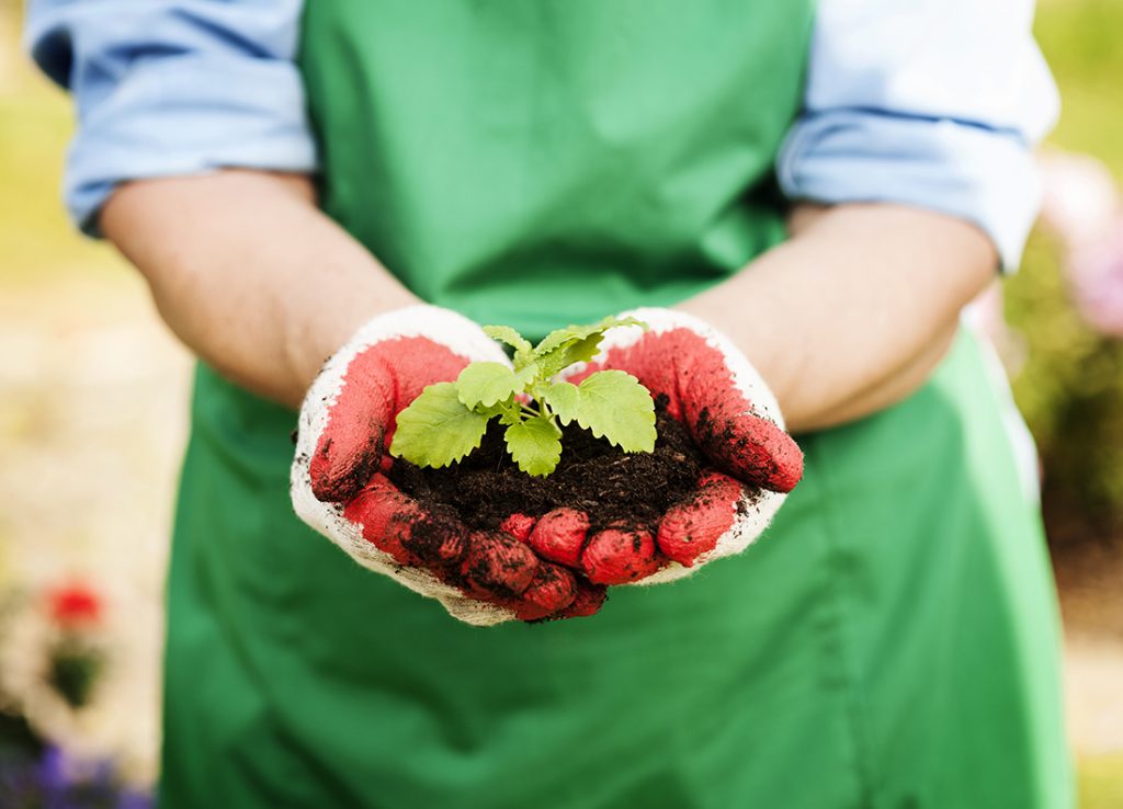 Productos para el cultivo