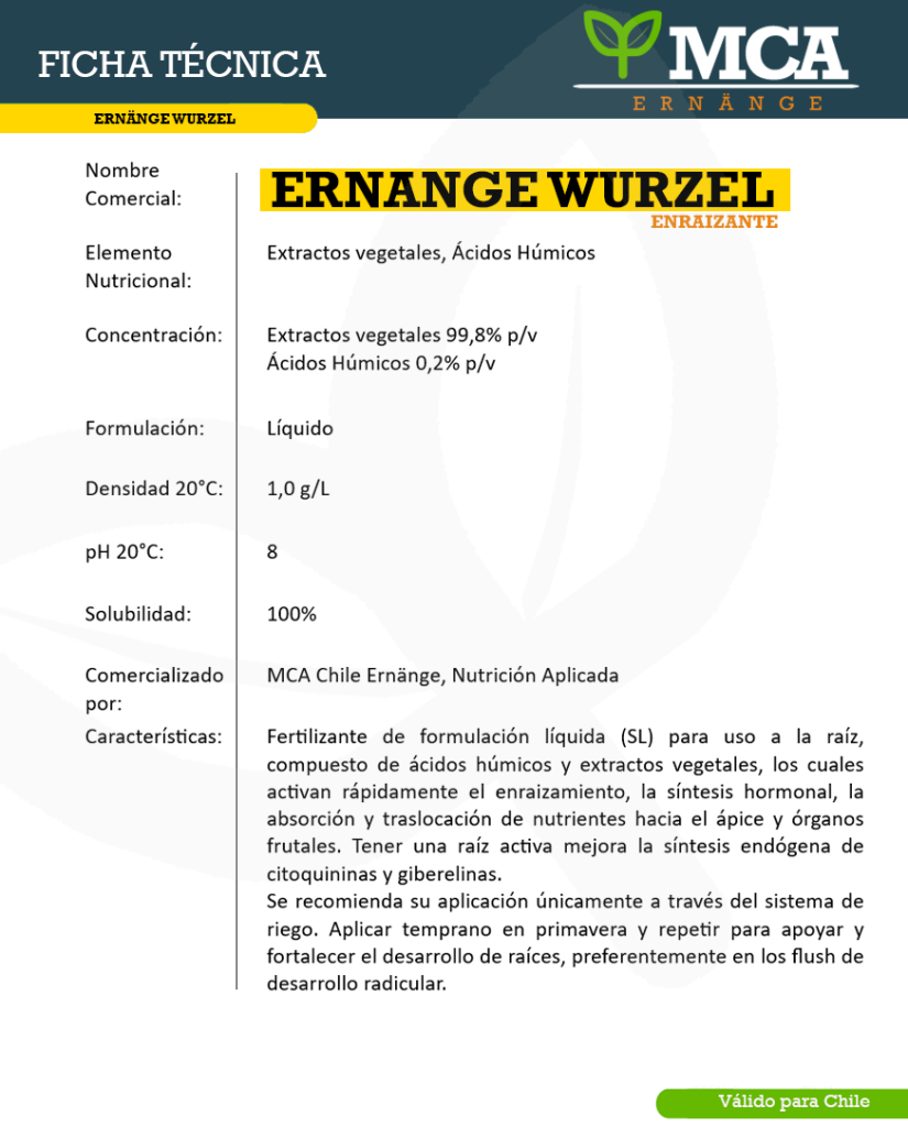 Ficha Wuezel