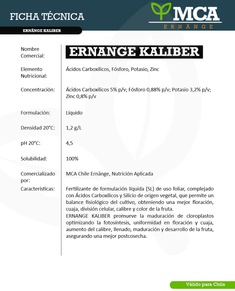 Ficha técnica Kaliber