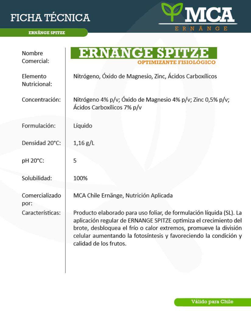 Ficha Técnica Ernange Spitze