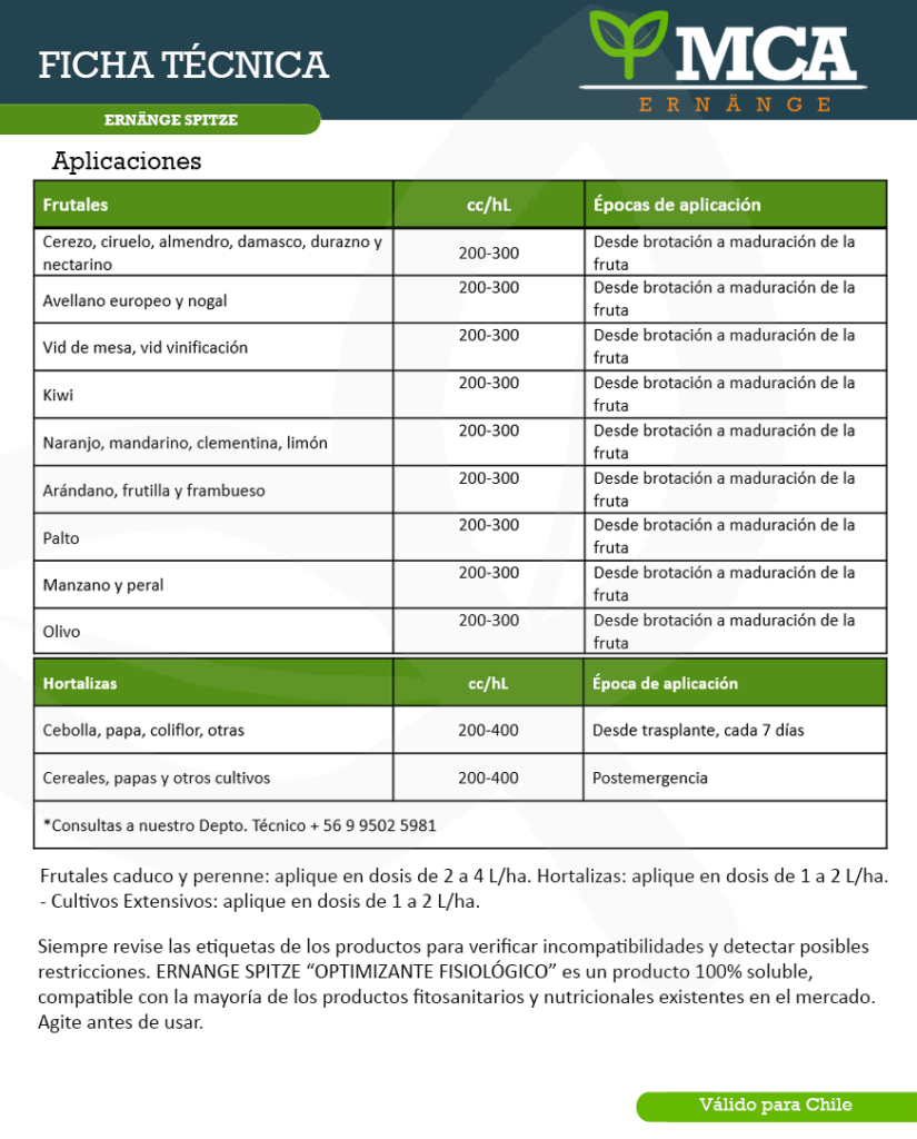 Ficha Técnica Ernange Spitze